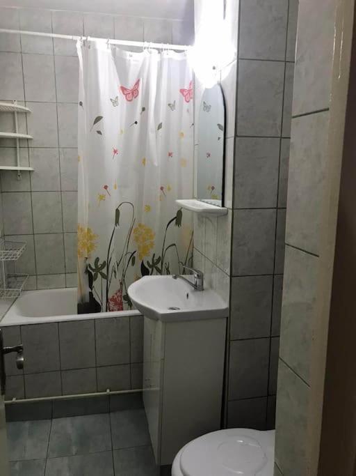 Apartament Confortabil Piteşti Eksteriør bilde